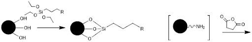 Glass-functionalization