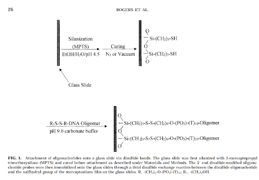 Sulfide solid phase synthesis