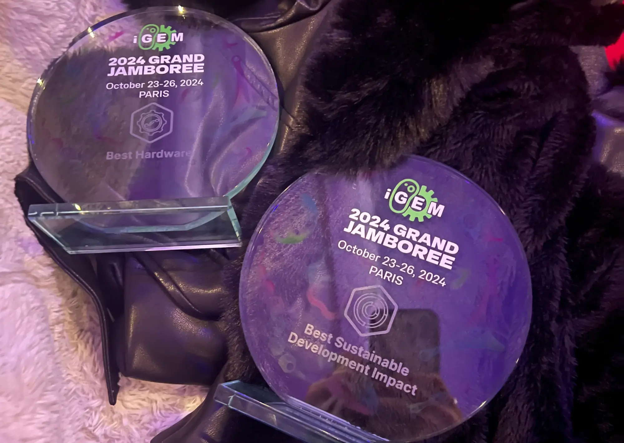 Awards won by the team at the 2024 iGEM Jamboree.