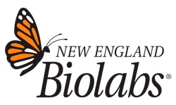 new_england_biolabs.jpg
